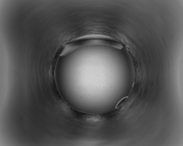 X0000088170377200705221627