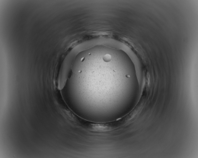 X0000088170380200705221627