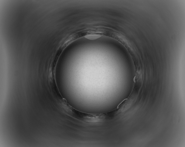 X0000088170381200705221627