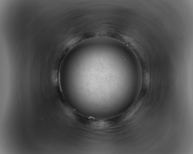 X0000088170383200705221627