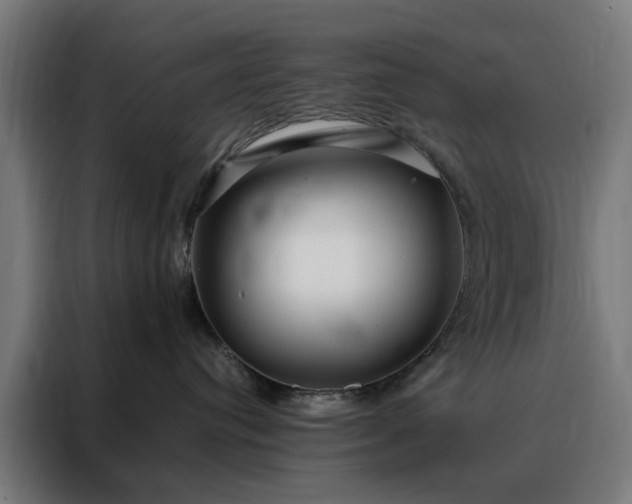 X0000088170384200705221627