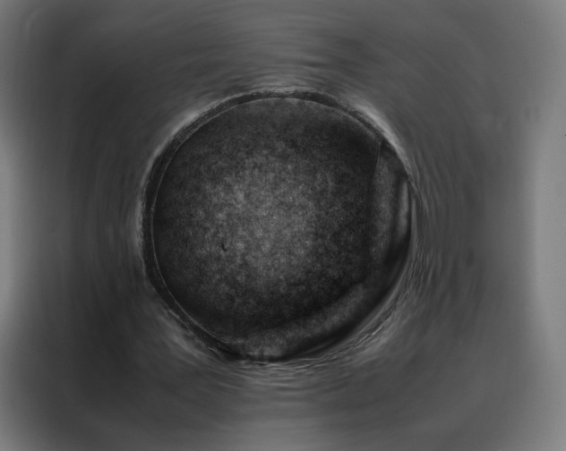 X0000088170387200705221626