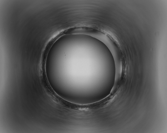 X0000088170388200705221626