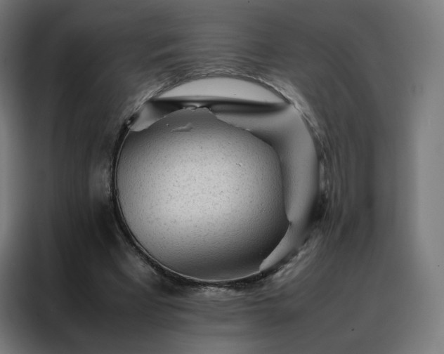 X0000088170393200705221626