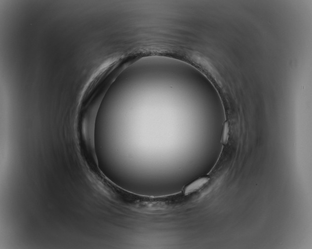 X0000088170395200705221626