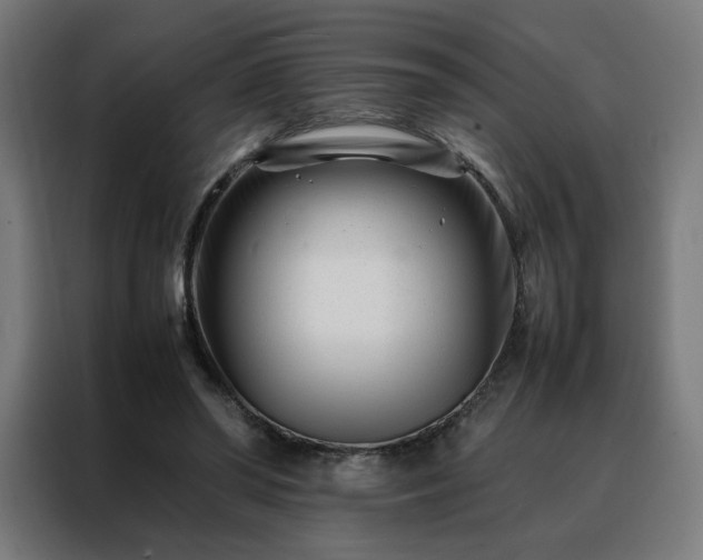 X0000088170398200705221626