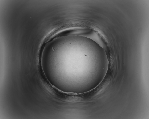 X0000088170399200705221626