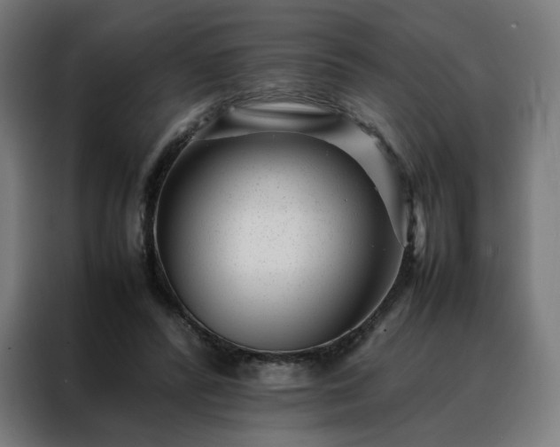 X0000088170400200705221626