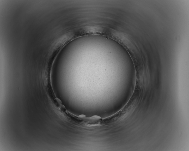 X0000088170402200705221626