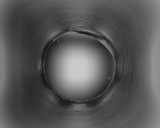 X0000088170403200705221626