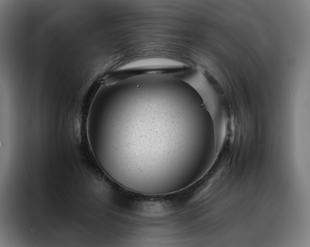 X0000088170404200705221626