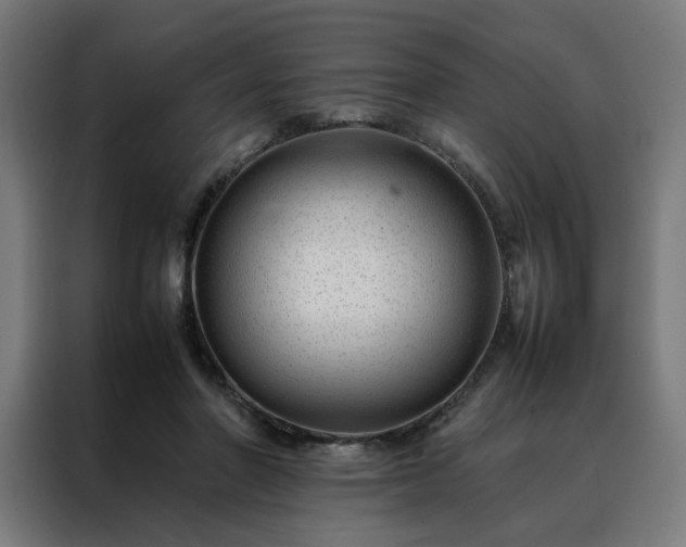 X0000088170406200705221626