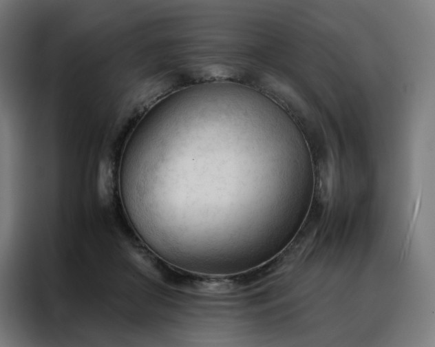 X0000088170410200705221626