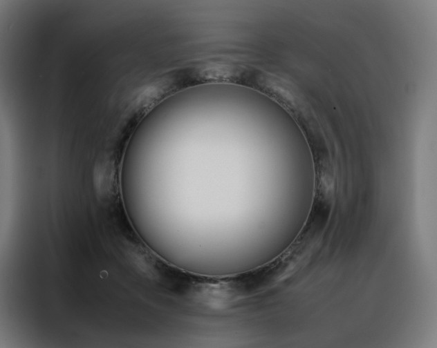 X0000088170411200705221626