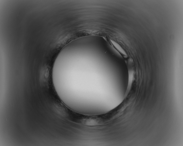 X0000088170412200705221626