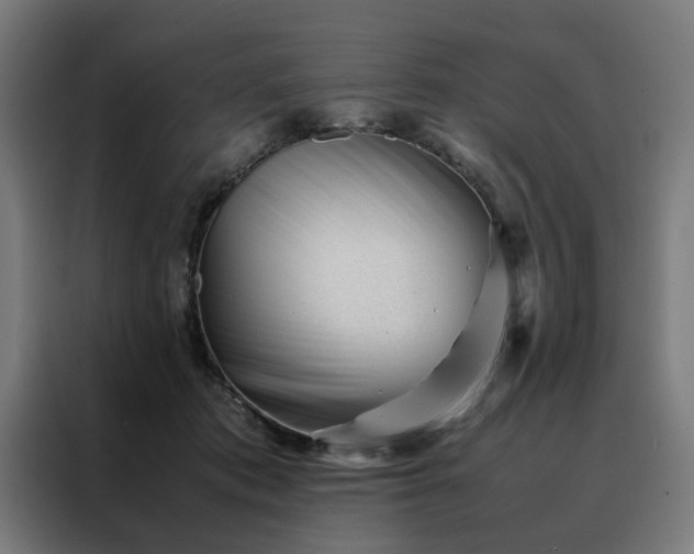 X0000088170413200705221625