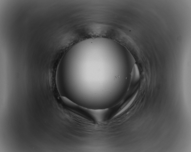 X0000088170416200705221625