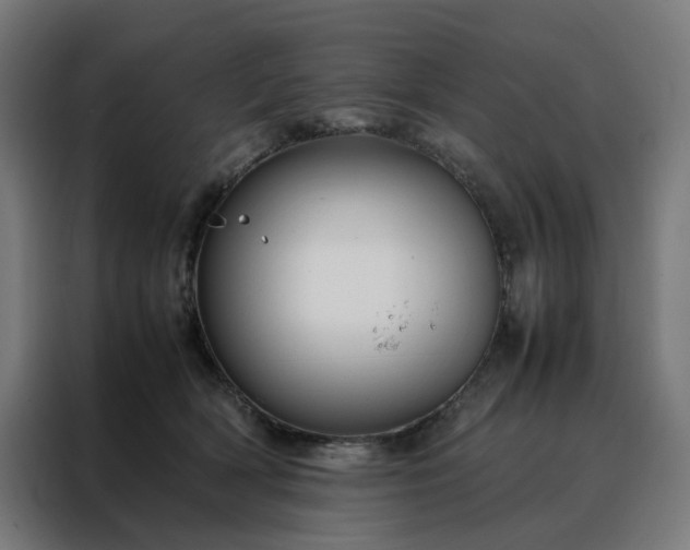 X0000088170418200705221625