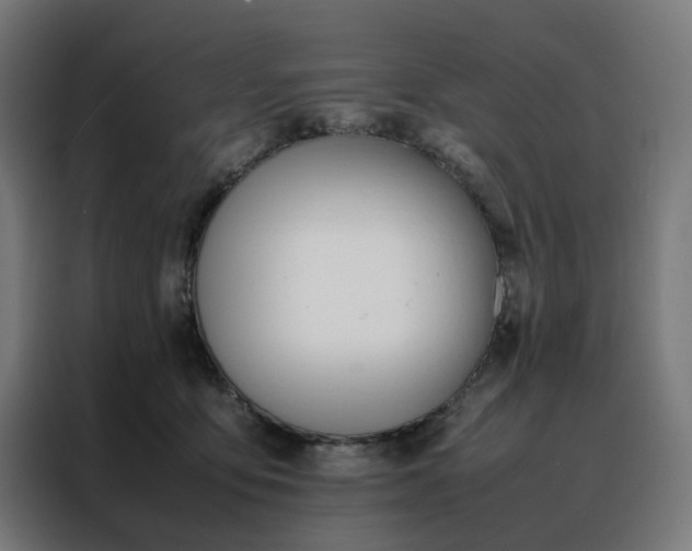 X0000088170419200705221625