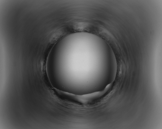 X0000088170420200705221625