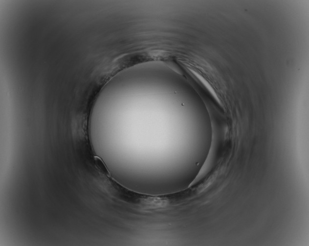 X0000088170421200705221625