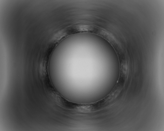 X0000088170422200705221625