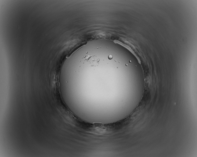 X0000088170423200705221625