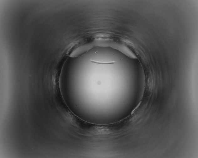 X0000088170424200705221625