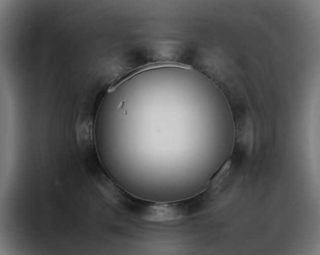 X0000088170425200705221625