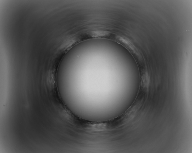 X0000088170426200705221625