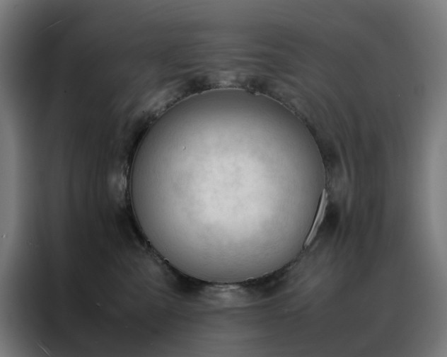 X0000088170427200705221625