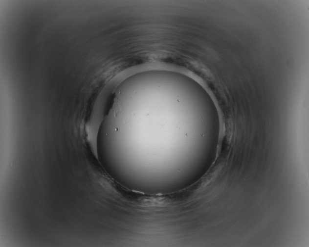 X0000088170428200705221625