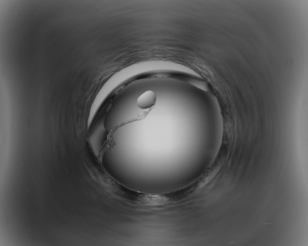 X0000088170429200705221625