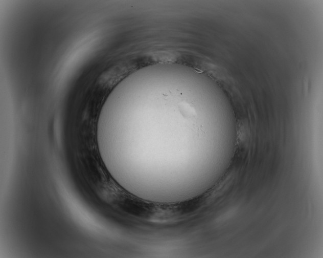 X0000088170431200705221625