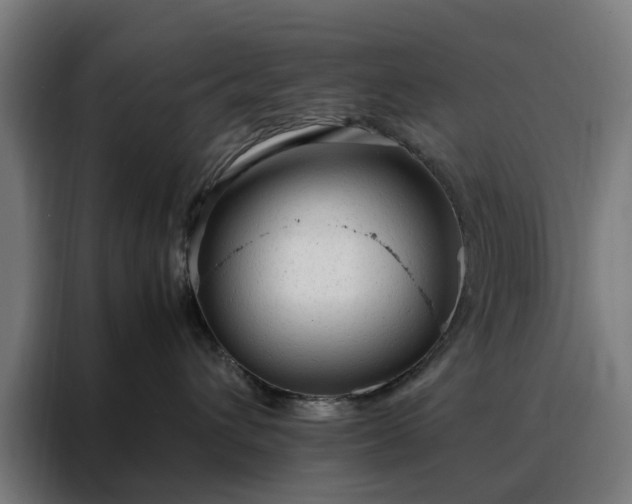 X0000088170432200705221625