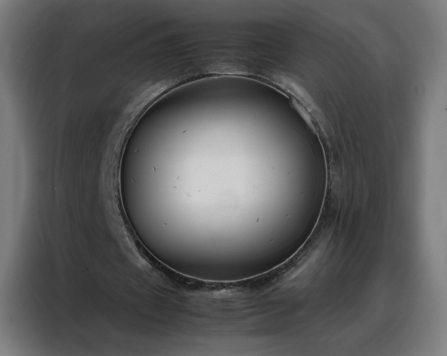 X0000088170433200705221625