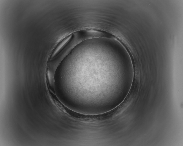 X0000088170434200705221625