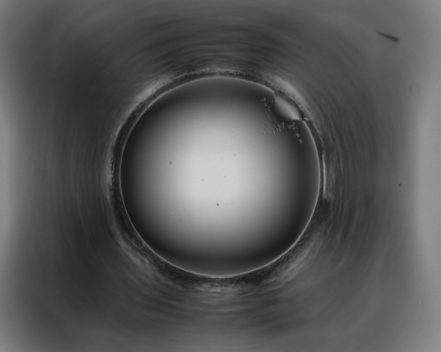 X0000088170435200705221625