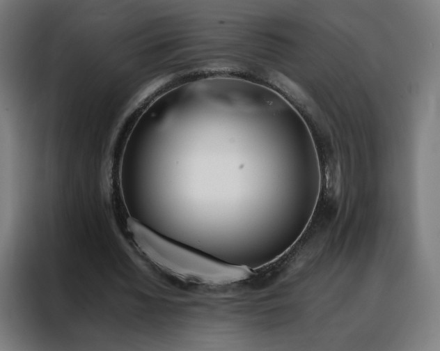 X0000088170436200705221625