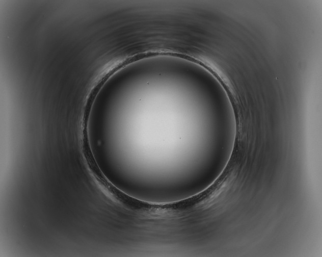 X0000088170437200705221625