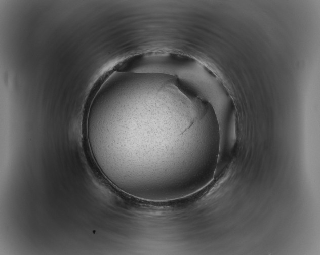 X0000088170438200705221625