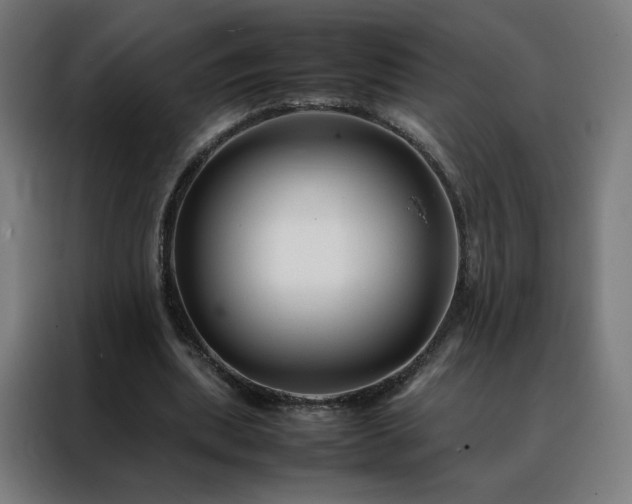 X0000088170439200705221625