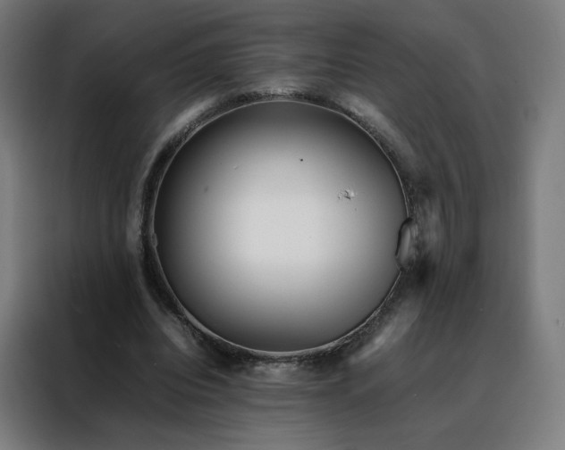 X0000088170440200705221625