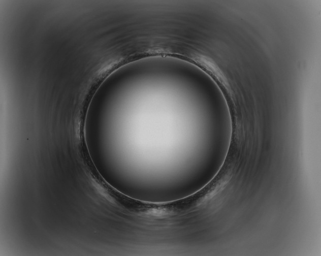 X0000088170441200705221625