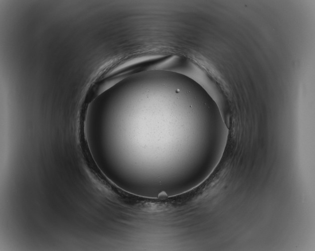 X0000088170442200705221625