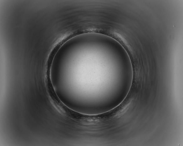 X0000088170443200705221625