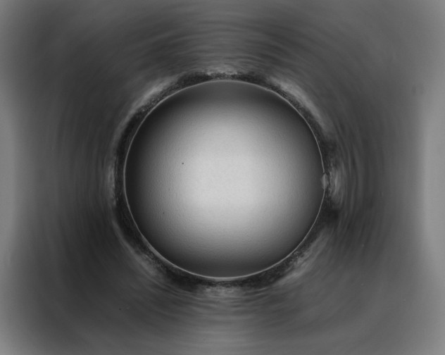 X0000088170444200705221625