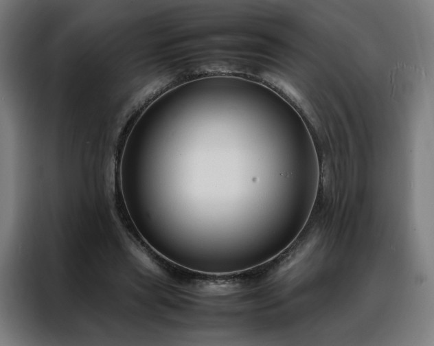 X0000088170445200705221625