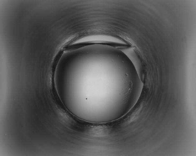 X0000088170446200705221625