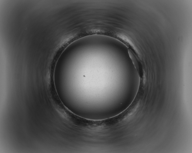 X0000088170447200705221625